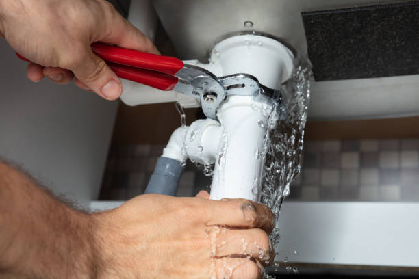 Best Professional water damage repair  in Monona, WI