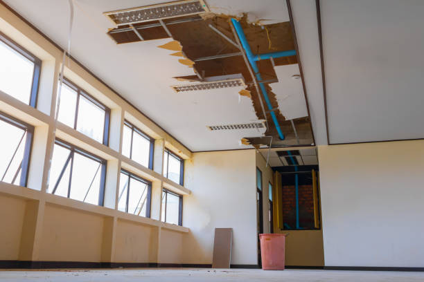 Best Ceiling water damage repair  in Monona, WI