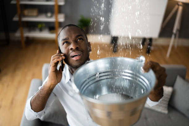 Best Fire Damage Restoration  in Monona, WI