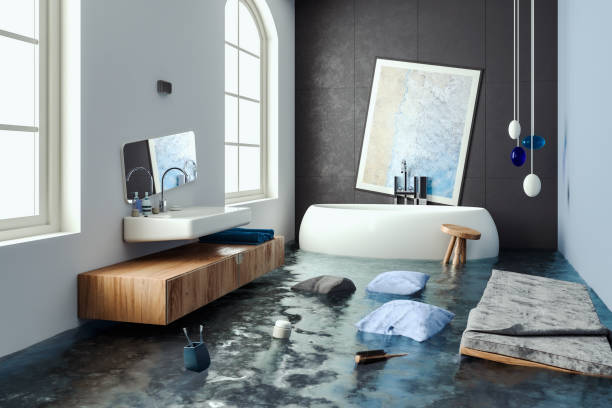 Best Carpet water damage restoration  in Monona, WI