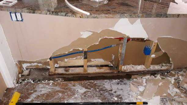 Best Flooded house restoration  in Monona, WI