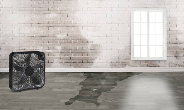 Local water damage restoration in Monona, WI
