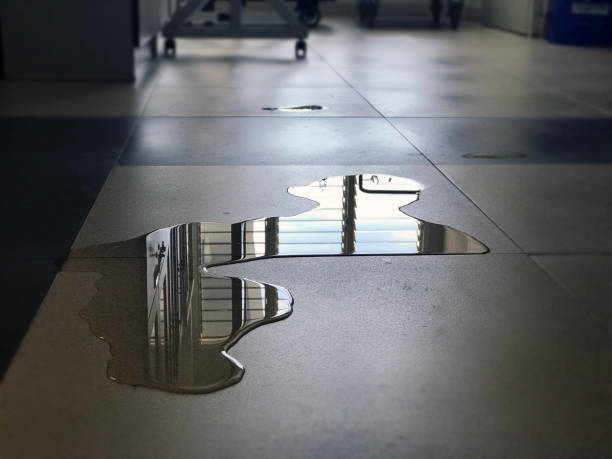 Best Water damage contractors near me  in Monona, WI