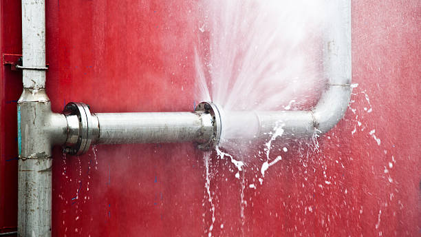 Best Sewage cleanup and water damage restoration  in Monona, WI